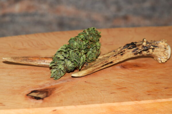 Cannabis Gras-Shop